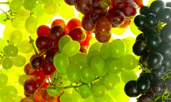 korrigjim ushqyes për venat me variçe